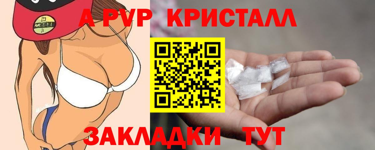 A PVP СК Владимир