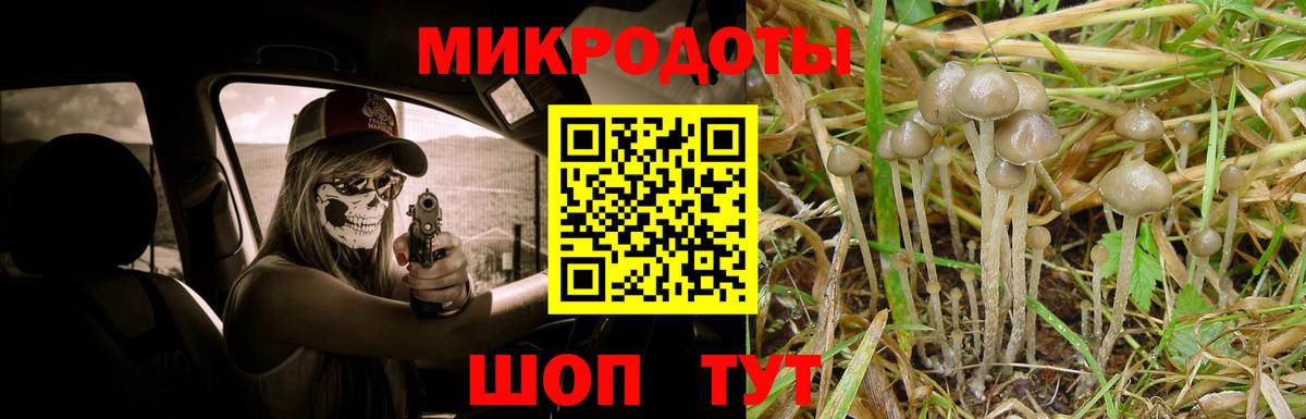 Галлюциногенные грибы прущие грибы Владимир