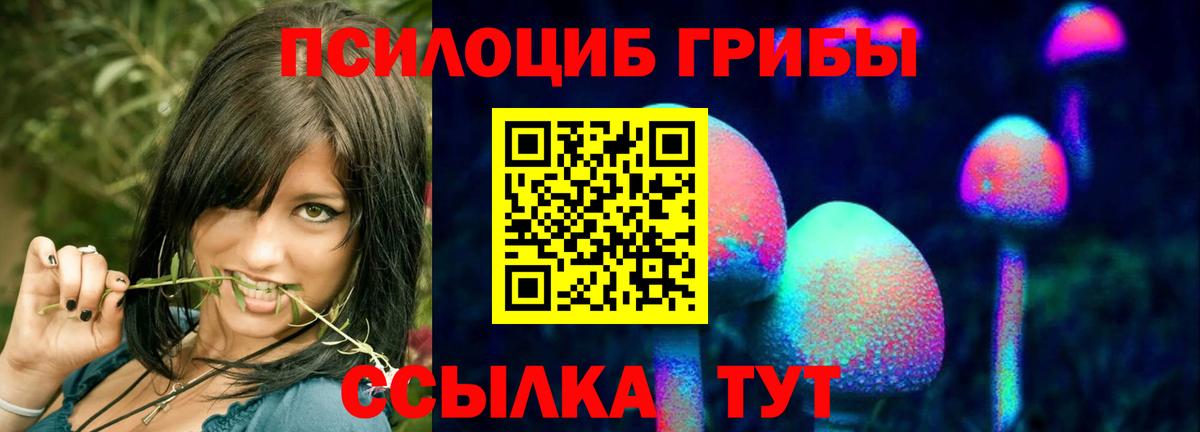 магазин продажи наркотиков  Псилоцибиновые грибы Cubensis  Владимир  Вход с VPN  Псилоцибиновые грибы GOLDEN TEACHER 